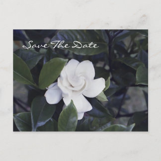 Betoverende Gardenia Save the Date Briefkaart