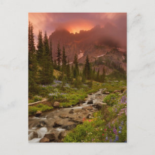 betoverende meadows briefkaart