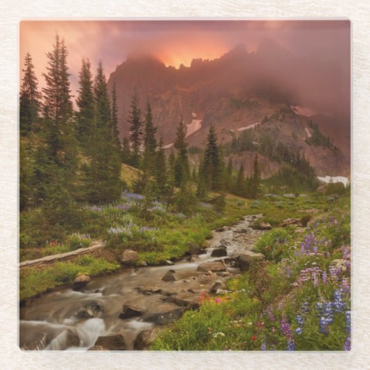 betoverende meadows glazen onderzetter (Voorkant)