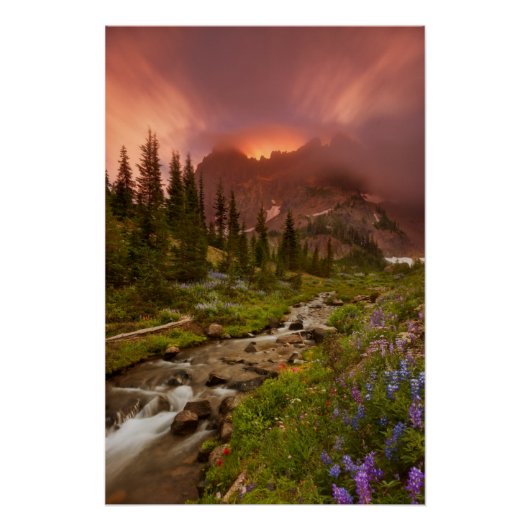 betoverende meadows perfect poster (Voorkant)