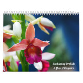 Betoverende orchideeën kalender (Hoes)