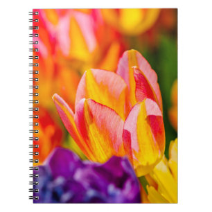 Betoverende tulpen notitieboek