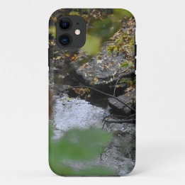 Betoveringen van de aarde iPhone 11 hoesje