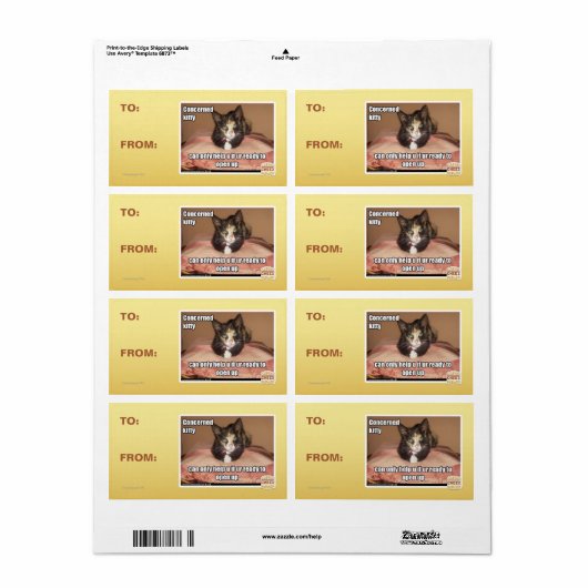 Betrokken Kat Etiket (Full Sheet)