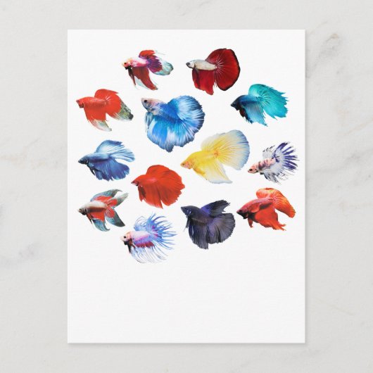 Betta 2 briefkaart (Voorkant)