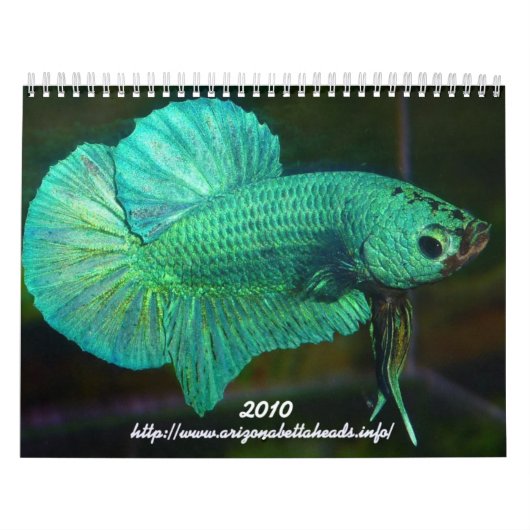 Betta Agenda 2010 Kalender (Hoes)