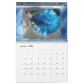 Betta Agenda 2010 Kalender (Jan 2026)