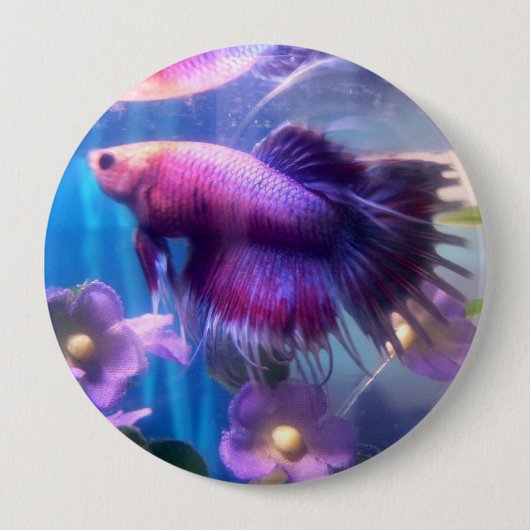 Betta Button (Voorkant)