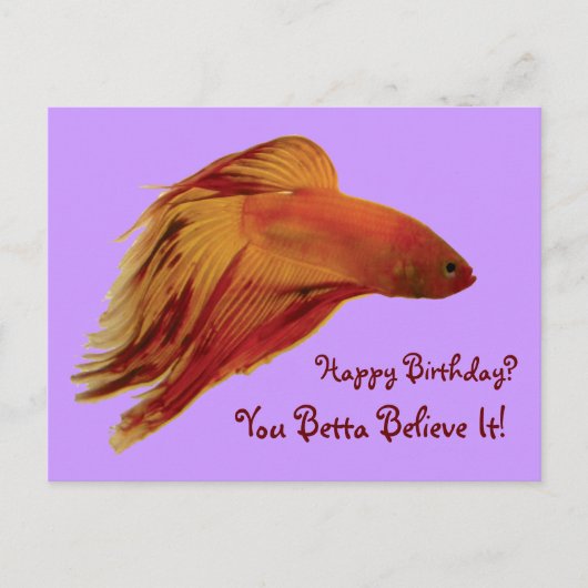 Betta - Carte postale Anniversaire (Devant)