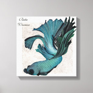 Betta Combattre le poisson dans la toile bleue ver