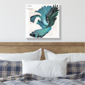 Betta Combattre le poisson dans la toile bleue ver (Insitu(Chambre))