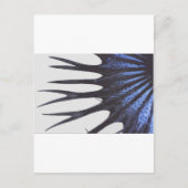 Betta crowntail briefkaart (Voorkant)