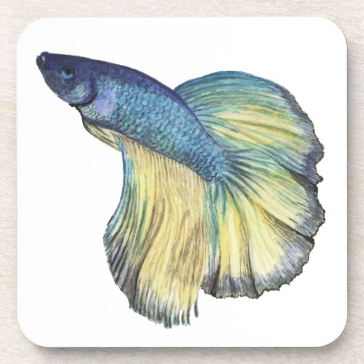 Betta Fish Bier Onderzetter (Voorkant)