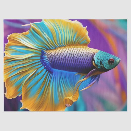 Betta Fish, blauwe goudpaars Tissuepapier (Voorkant)