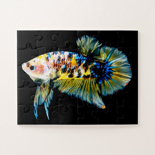 Betta Fish Blue en Gold Legpuzzel (Horizontaal)