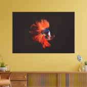Betta Fish Canvas Afdruk (Insitu (Woonkamer))