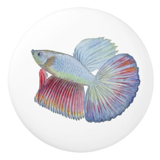 Betta Fish Ceramic Knob. Keramische Knop (Voorkant)