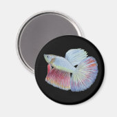 Betta Fish Magneet (Voorkant / Achterkant)