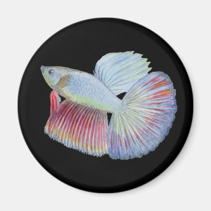 Betta Fish Magneet