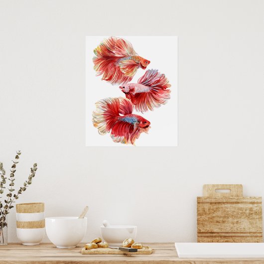 Betta fish poster (Keuken)