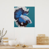 Betta Fish-Poster Poster (Keuken)