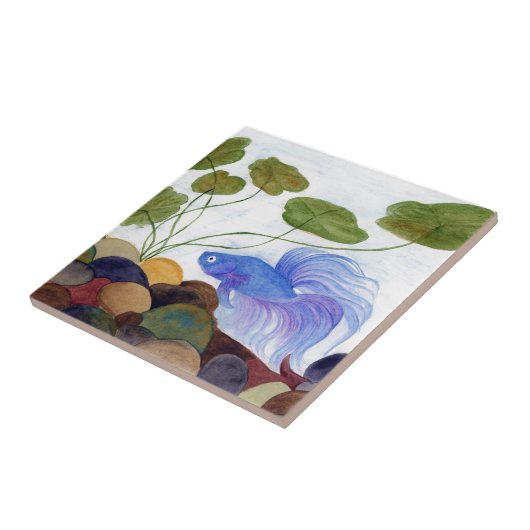 Betta Fish Tegeltje (Zijkant)