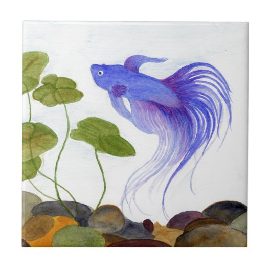 Betta Fish Tegeltje (Voorkant)