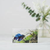 Betta Fish Visitekaartje (Staand voorkant)