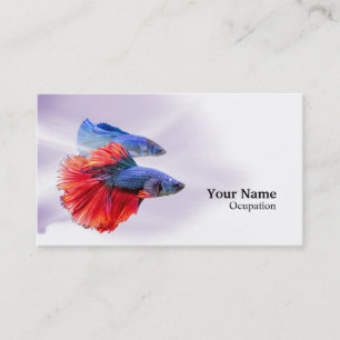Betta Fish Visitekaartje