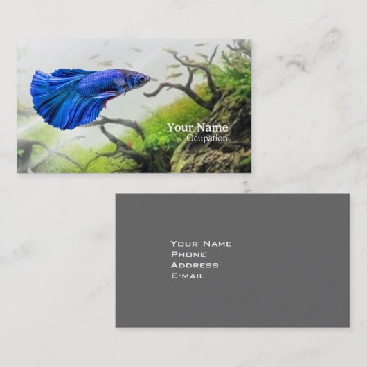 Betta Fish Visitekaartje (Voorkant / Achterkant)