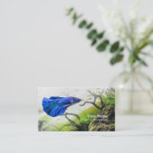 Betta Fish Visitekaartje (Staand voorkant)