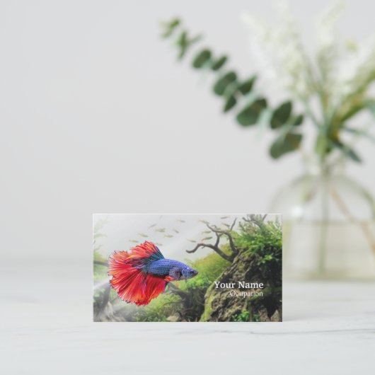 Betta Fish Visitekaartje (Staand voorkant)