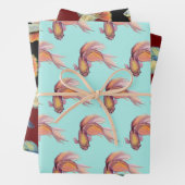 Betta Fish Wrapping Paper Sheets (In situ)