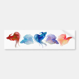 Betta Fishes Bumpersticker