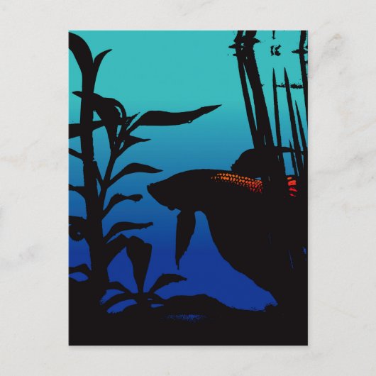 Betta gelooft het briefkaart (Voorkant)