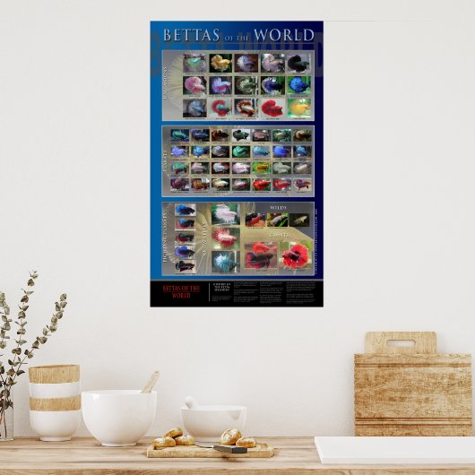 Betta Poster (Keuken)