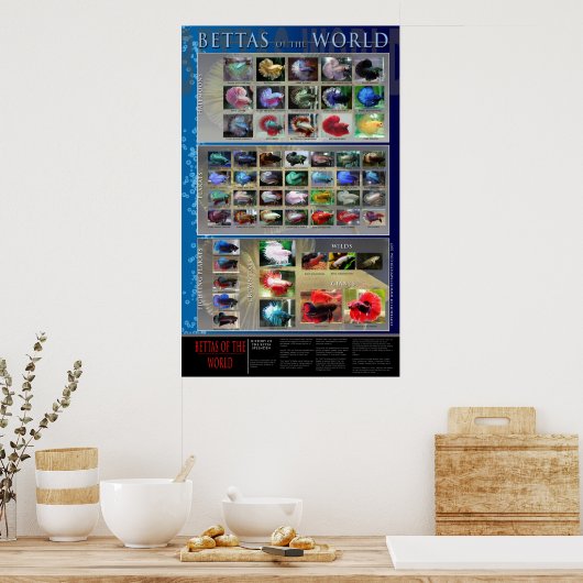 Betta Poster (Keuken)