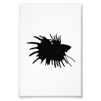 Betta Silhouette Love Siamese Fighting Fish Foto Afdruk