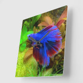 Betta Splendens Vierkante Klok (Hoek)