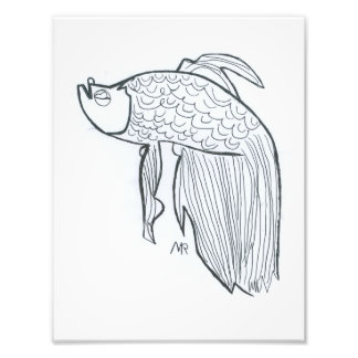Betta Vis Foto Afdruk