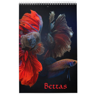 Betta vis Kalender