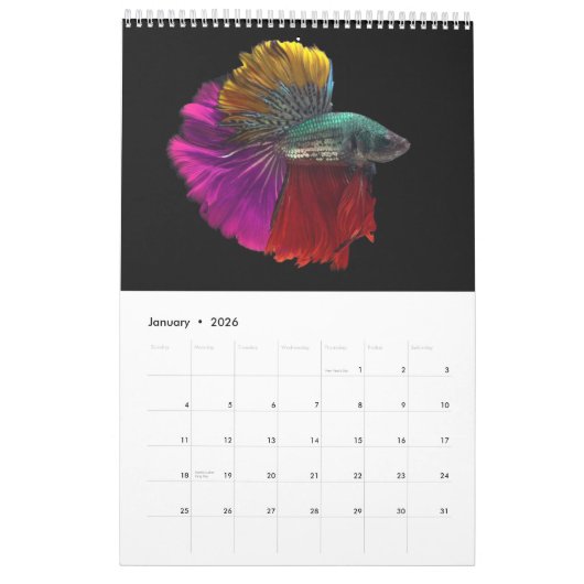 Betta vis Kalender (Jan 2026)
