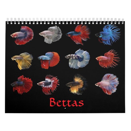 Betta vis Kalender (Hoes)