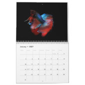 Betta vis Kalender (Jan 2027)
