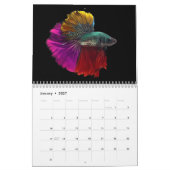 Betta vis Kalender (Jan 2027)