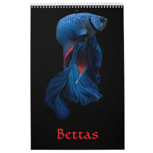 Betta vis Kalender