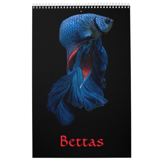 Betta vis Kalender (Hoes)