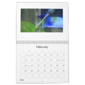 Betta viskalender 2013 kalender (Feb 2026)