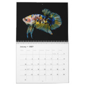 Bettafish 2025 kalender (Jan 2027)