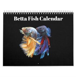 Bettafish 2025 kalender